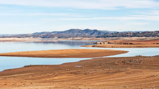 Maintain a Healthy Landscape During Drought